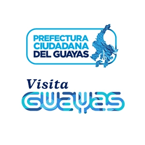 nuevo 1
