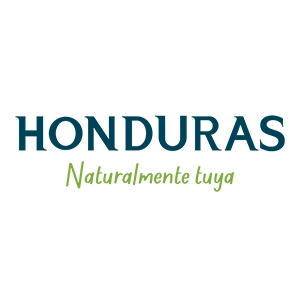 nuevo 1